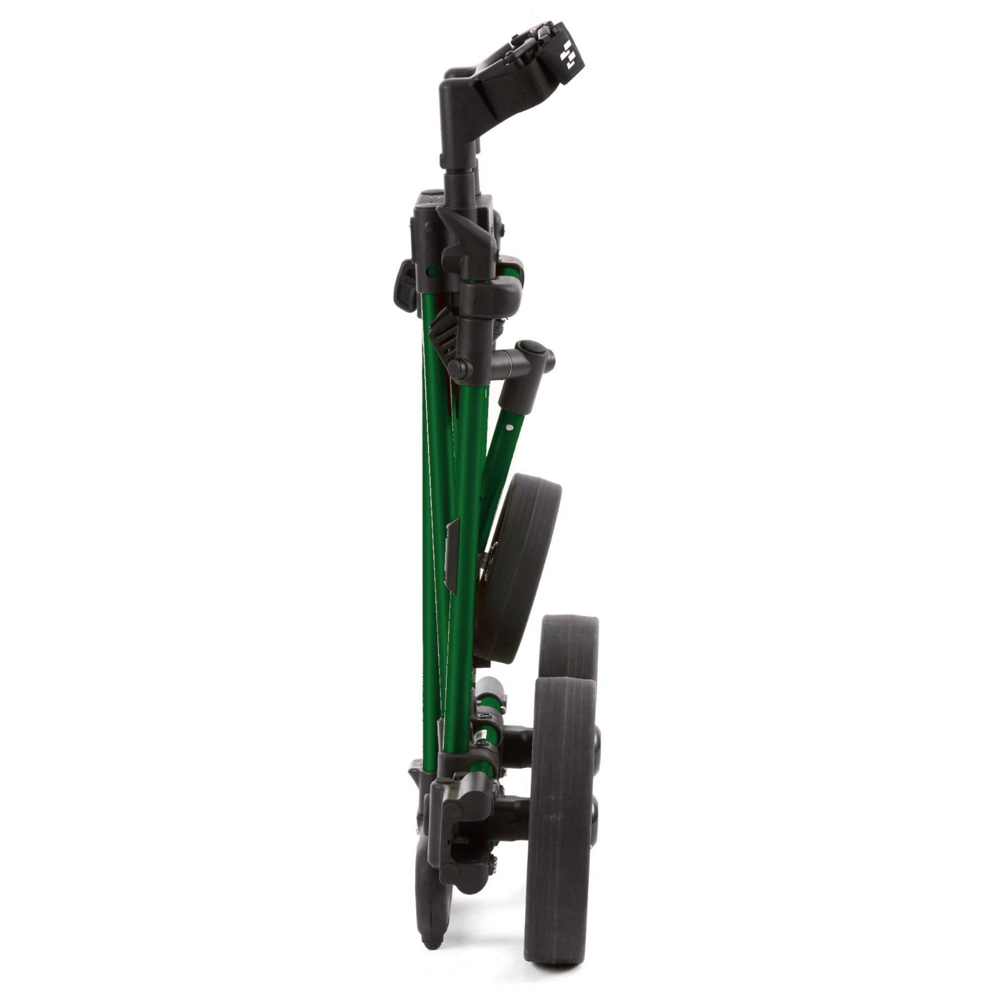 FLAT CAT Limited Edition 2026 –  British Racing Green