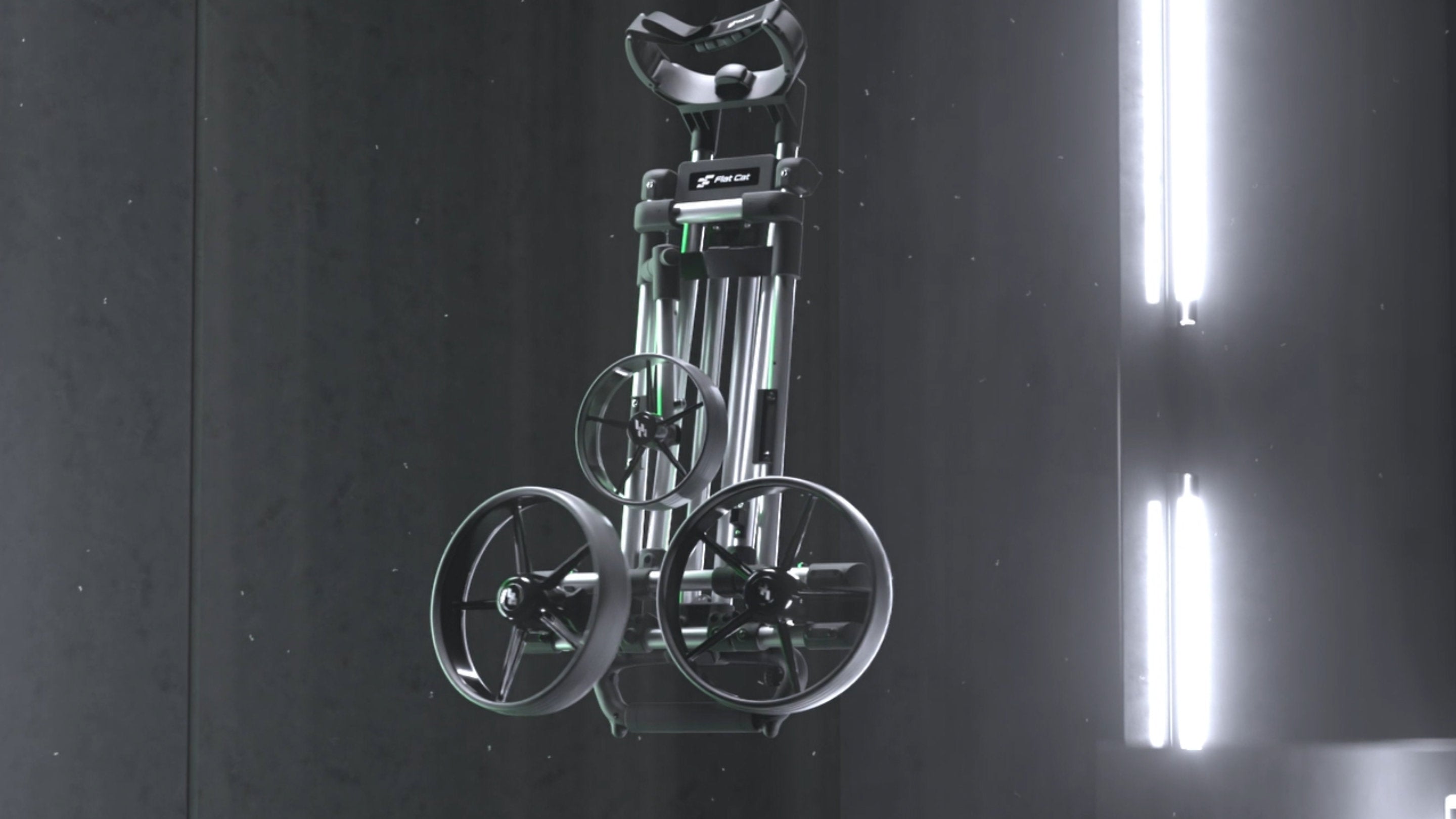 Flat Cat Ahead Vorschau