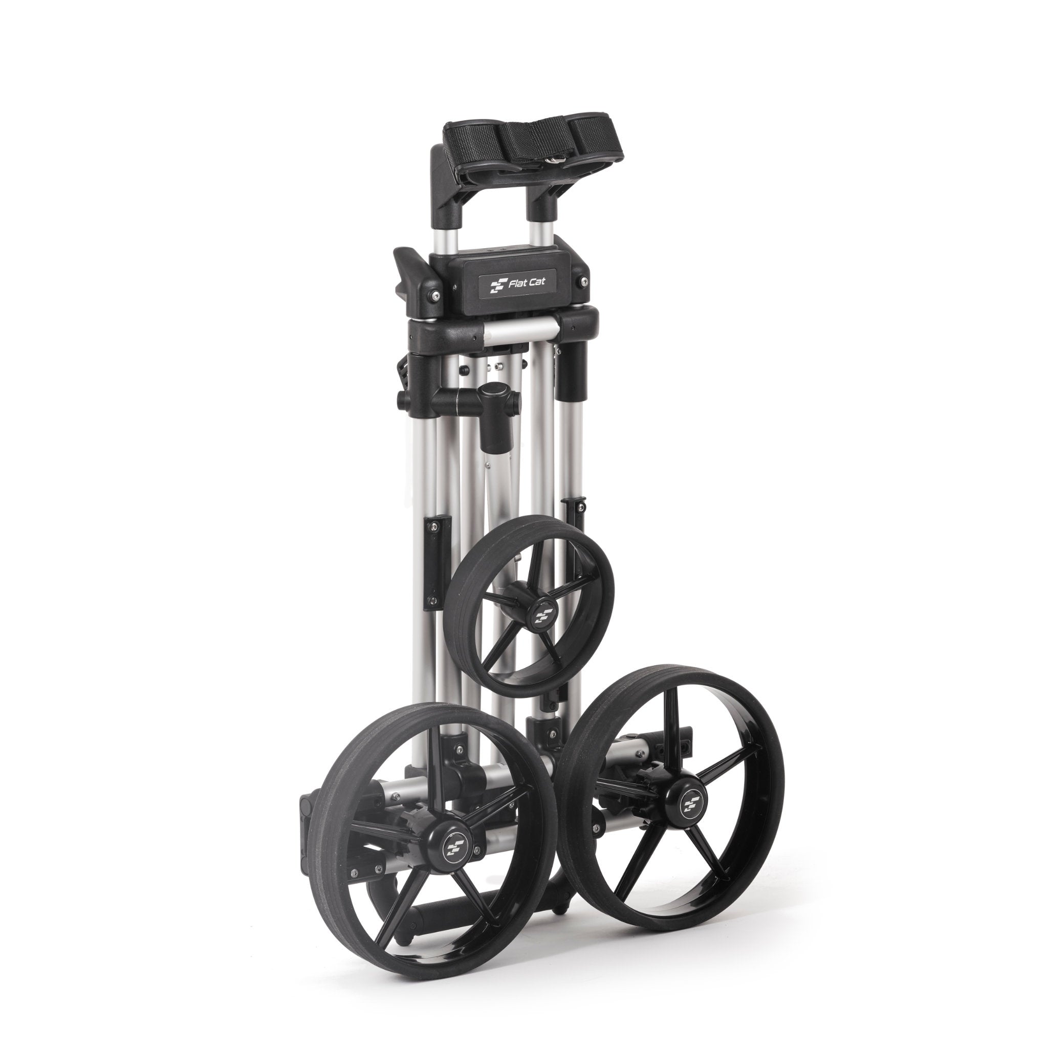 Flat Cat Go Elektro Trolley silber